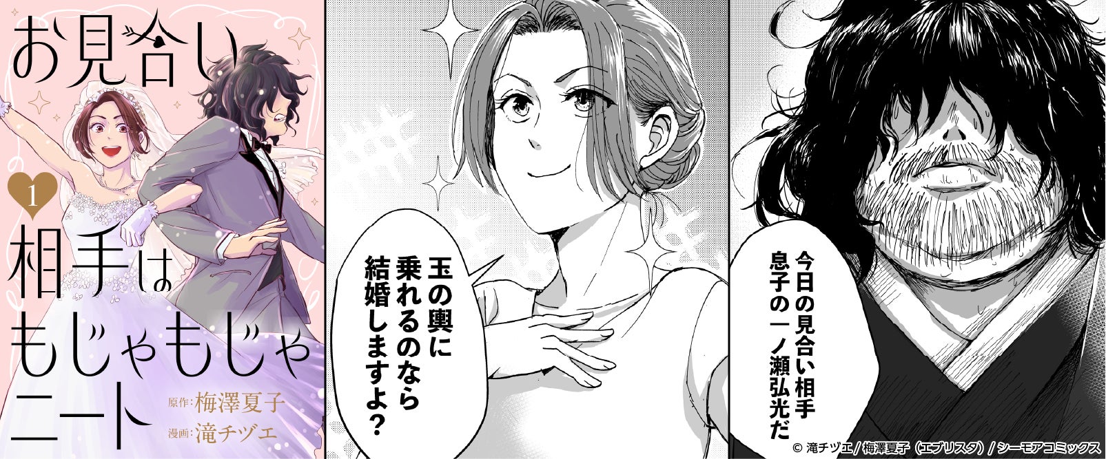 お見合い相手はもじゃもじゃニート作品イメージ